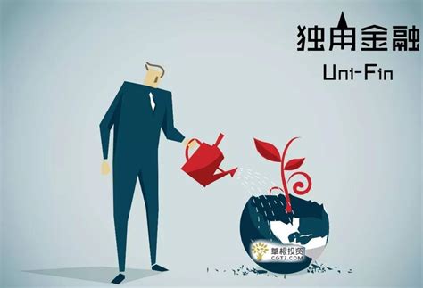 草根投资2017运营年报——每一次突破，都有记录