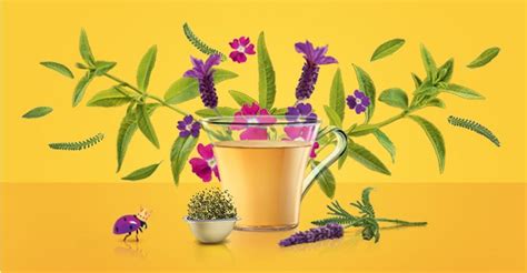 Verbena - Infusion en capsules - SPECIAL.T by Nestlé