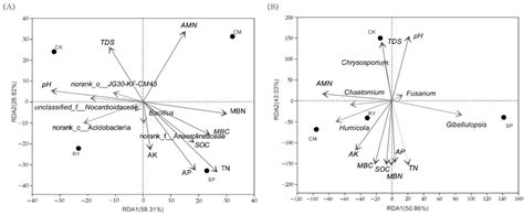 Phytoremediation of Secondary Salinity in Greenhouse Soil with ...