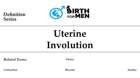 Image result for Uterine Involution