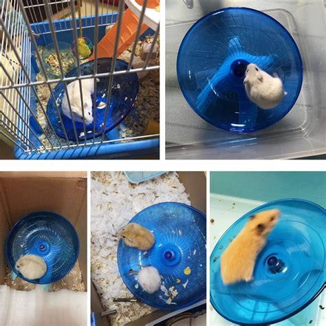 Buy Wontee Hamster Flying Saucer Silent Running Exercise Wheel for ...