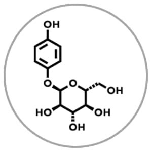 Buy The Derma Co 1% Kojic Acid Daily Glow Body Serum Lotion | For Skin ...