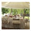 Maharaja Tents, Royal Tents, Maharaja Tents Supplier, Maharaja Tents ...