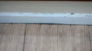 SPRINGLAND RESORT (Pagadian City) - Hotel Reviews & Photos - Tripadvisor