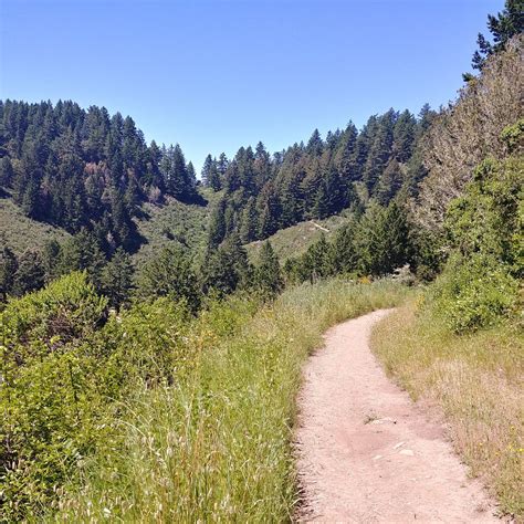 Purisima Creek Redwoods - All You Need to Know BEFORE You Go (2025)