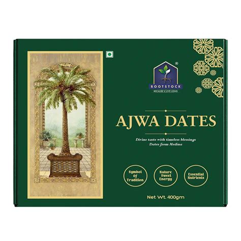 ROOTSTOCK BECAUSE U LIVE LONG Premium Ajwa Dates 400gm, 100% Fresh ...