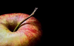 Wallpaper apple, fruit, shadow, green, dark, macro hd, picture, image