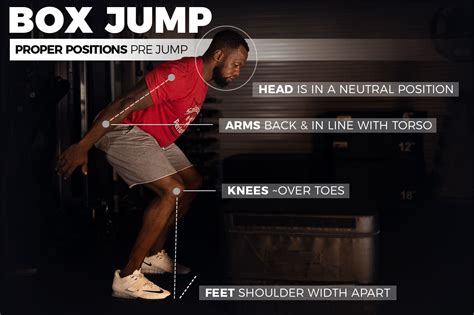 Box Jump Exercises 的图像结果