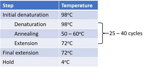Image result for PCR Machine Operting Procedure