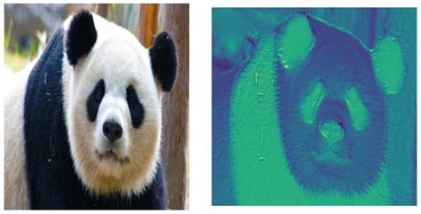 Pruning Deep Neural Network Models via Minimax Concave Penalty Regression