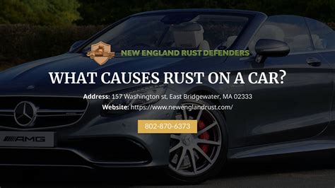 Image result for Wax Rust