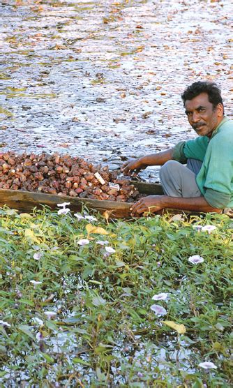 ITC SUSTAINABILITY-REPORT-2016 :: ENVIRONMENT BIODIVERSITY