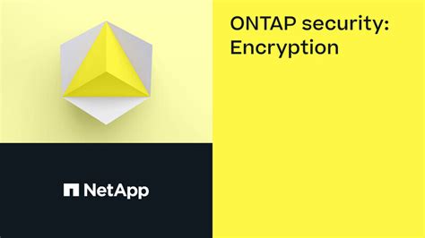 NetApp Encryption 的图像结果