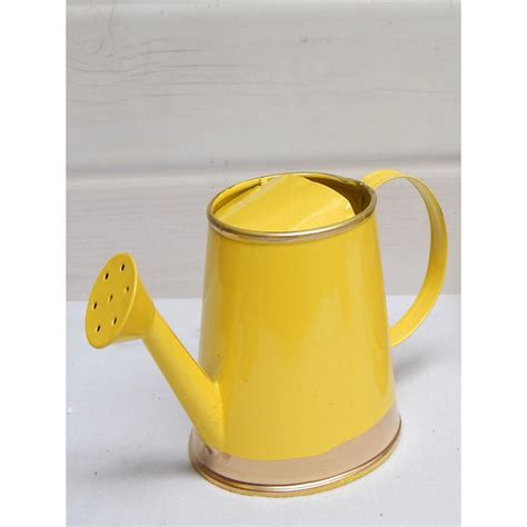 Buy Ecofynd Yellow Small Metal Watering Can Online