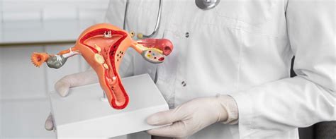 How Is IUI Procedure Done 的图像结果