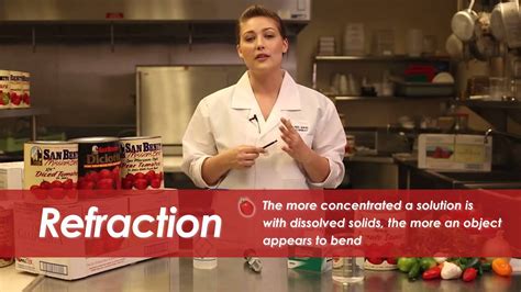 Image result for Refrectometer Using Steps