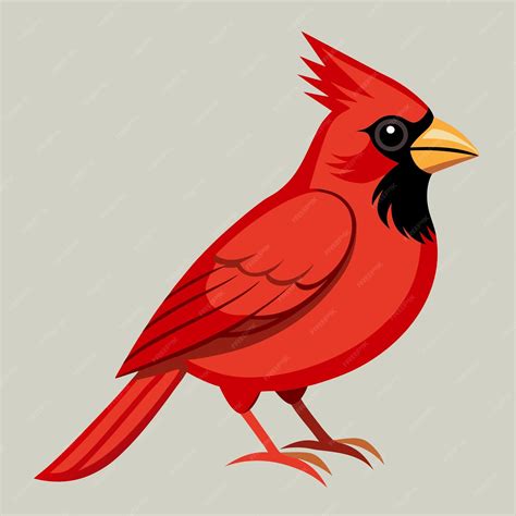 Cardinal Bird Clip Art Vector Illustration Design | Premium AI ...