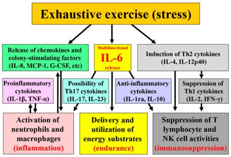 Cytokine Response to Exercise and Its Modulation