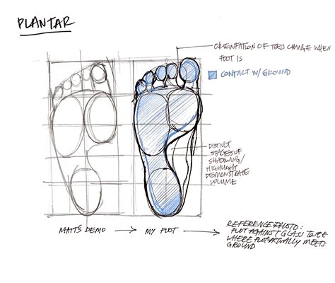 Foot Drawing 的图像结果