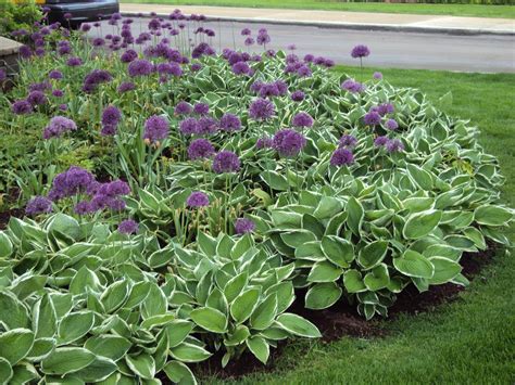 20 Perennial Shade Garden Design Ideas You Gonna Love | SharonSable