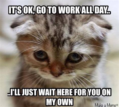 Image result for Cat Sketch Tutorial