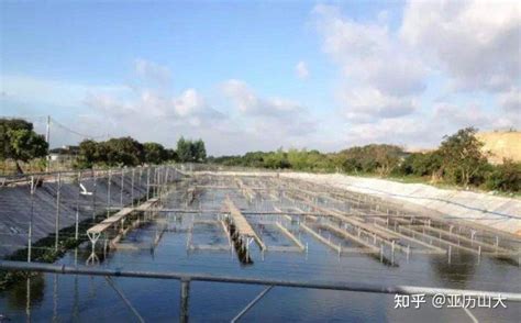 水产养殖水质监测-在线溶氧仪-米科官网