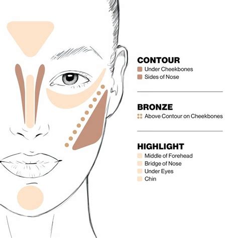 Image result for Makeup Contour Chart