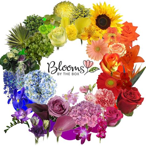 Image result for Complementary Flower Colors