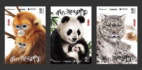 《我们诞生在中国》海报征集参赛海报|插画|商业插画|大额 - 原创作品 - 站酷 (ZCOOL)