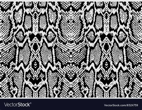 Image result for Python Snake Texture Pattern