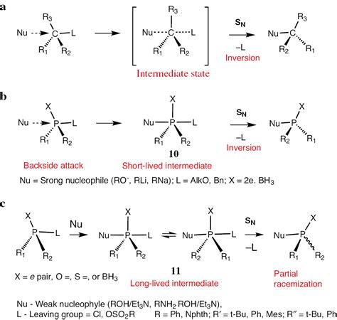 Stereochemistry of electrophilic and nucleophilic substitutions at phosphorus - mechanism of nucleophilic substitution reaction