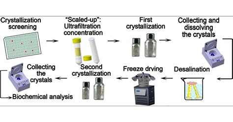 Image result for Microscopy Crystallization