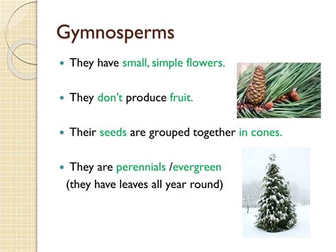 Image result for Plant Classification