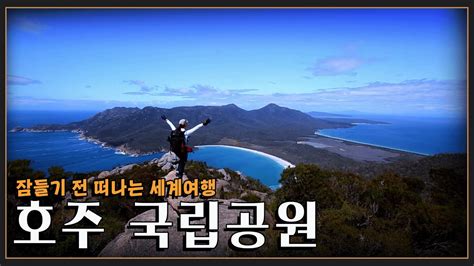 Image result for Script Reader