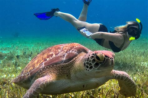 Cozumel Snorkeling Excursions