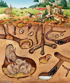 ausmalbilder tiere unter der erde illustratoren organisation e v s ausmalbilder tiere unter der erde illustratoren organisation e v s