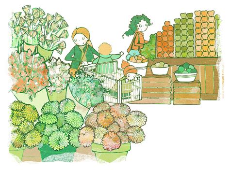 Store Drawing 的图像结果