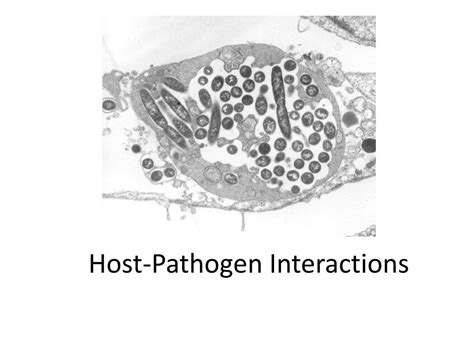 Image result for Host-Pathogen