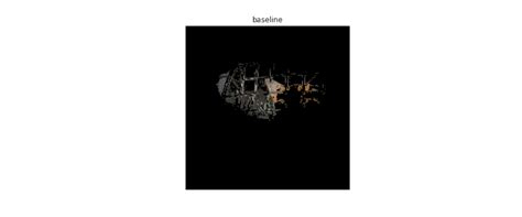 Image result for Grad Cam Example