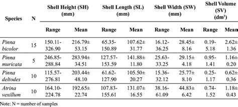 Image result for Shells Length