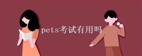 pets考试有用吗 有什么用_有途教育