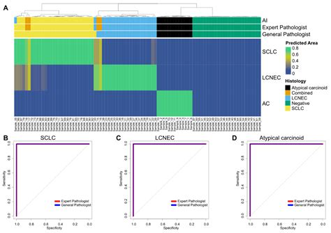 Deep Learning Facilitates Distinguishing Histologic Subtypes of ...