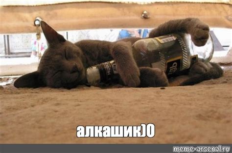 OIP.o2MHGQvP3DH5g2SKCeL_zAHaE6?rs=1&pid=