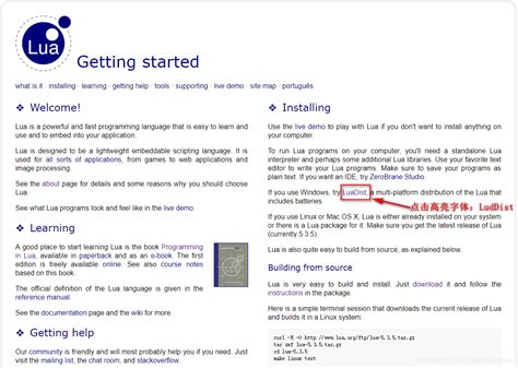 Visual Studio Code Lua Run 的图像结果