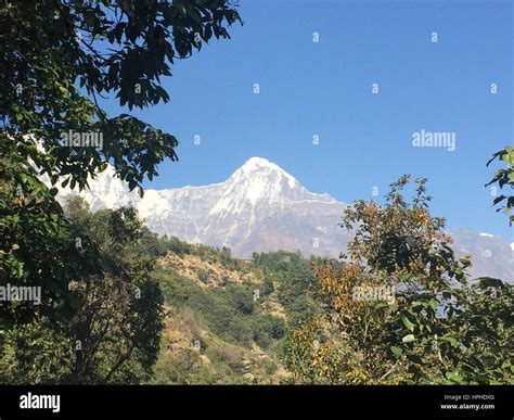 Machhapuchhare Fishtail mountain and Annapurna Himalaya Nepal range ...