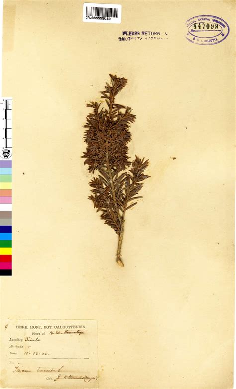 Move your mouse over image to enlarge.