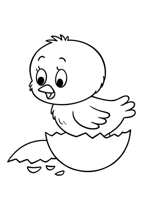 Baby Chick coloring pages