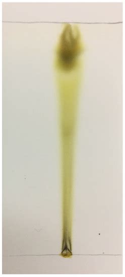 Microorganisms | Special Issue : Oral Microorganisms and Biofilms