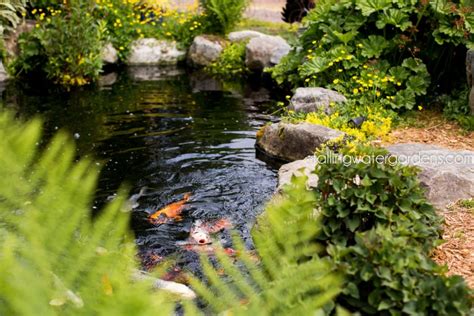 Spring Water Pond 的图像结果