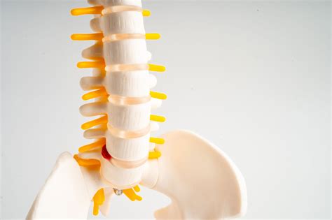 4 Benefits of Chiropractic Care for Herniated Discs – Awaken Chiropractic & Sports Medicine